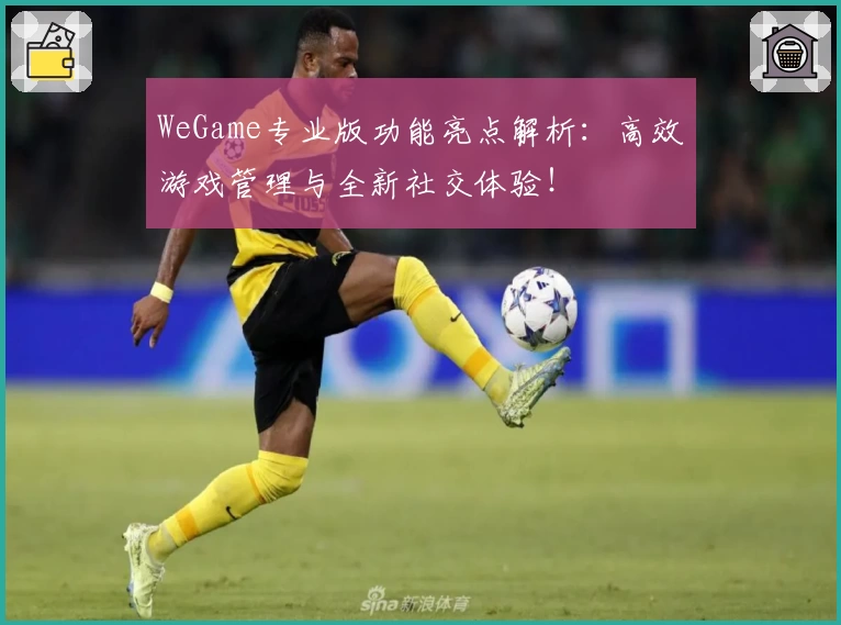 WeGame专业版功能亮点解析：高效游戏管理与全新社交体验！