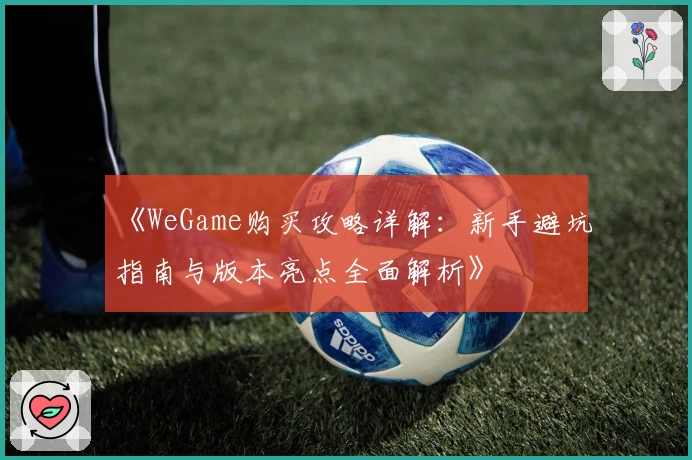 《WeGame购买攻略详解：新手避坑指南与版本亮点全面解析》