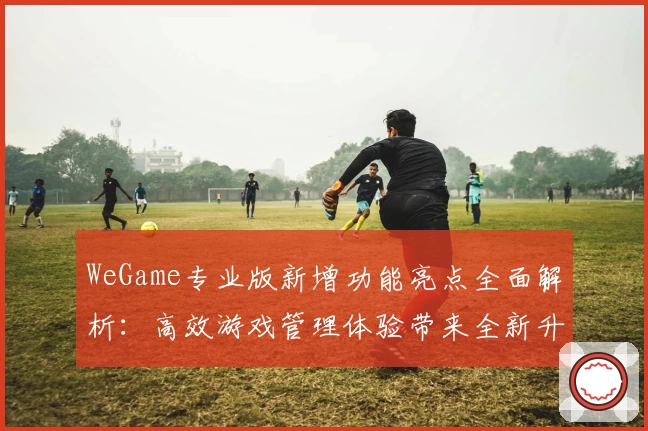 WeGame专业版新增功能亮点全面解析：高效游戏管理体验带来全新升级